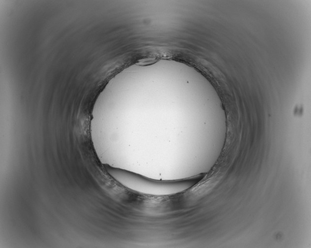 X0000099300096200805231351