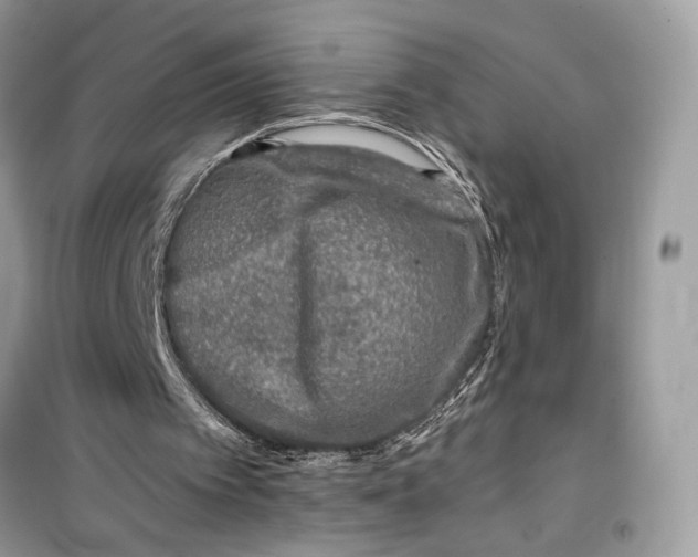 X0000099300097200805231350