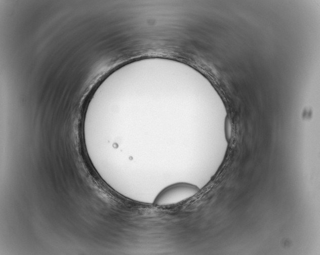 X0000099300098200805231350