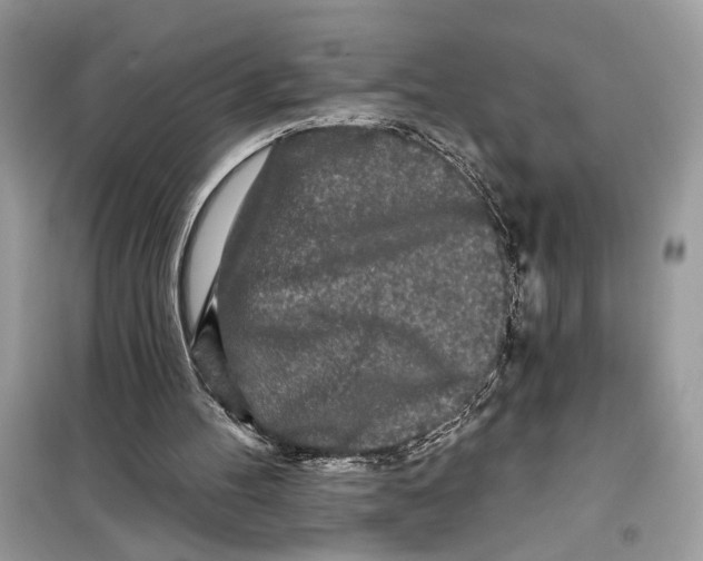 X0000099300100200805231350