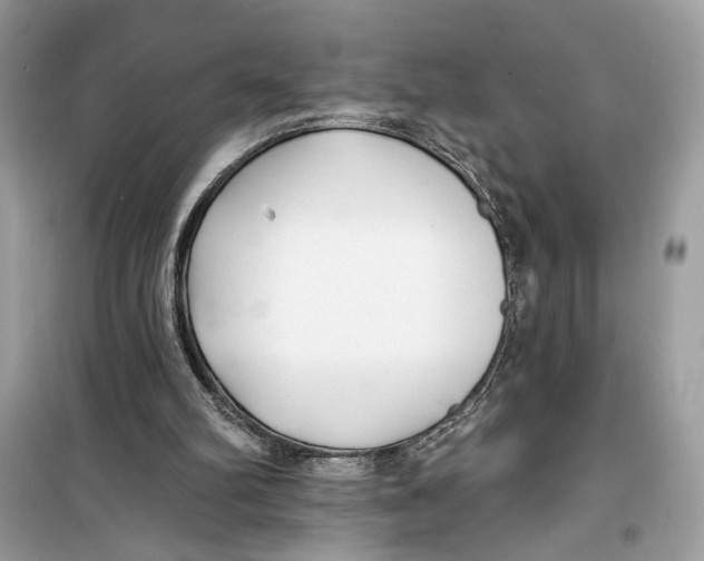 X0000099300102200805231350