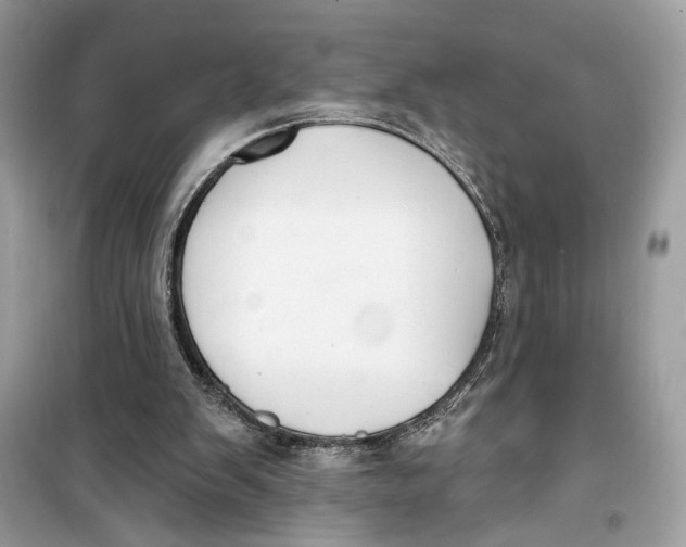 X0000099300103200805231350