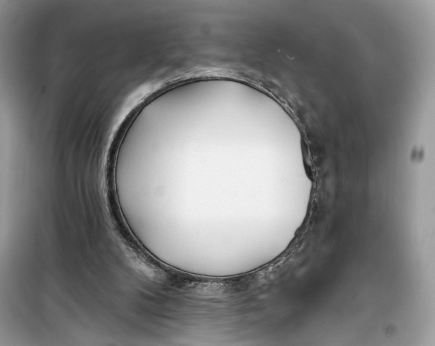 X0000099300104200805231350