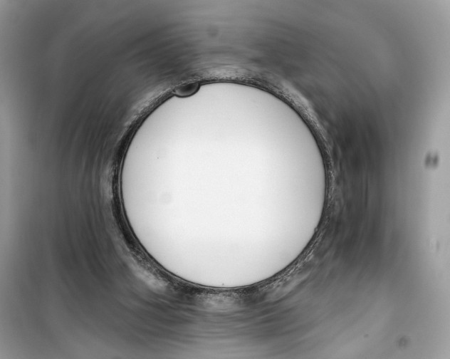 X0000099300106200805231350