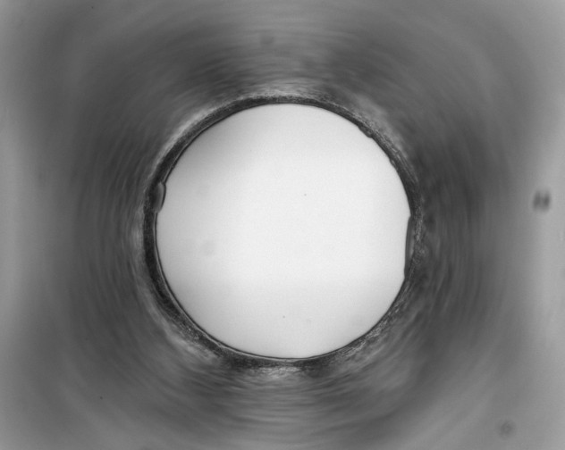 X0000099300108200805231350