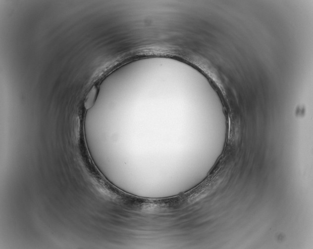 X0000099300109200805231350