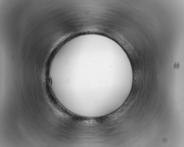 X0000099300112200805231350