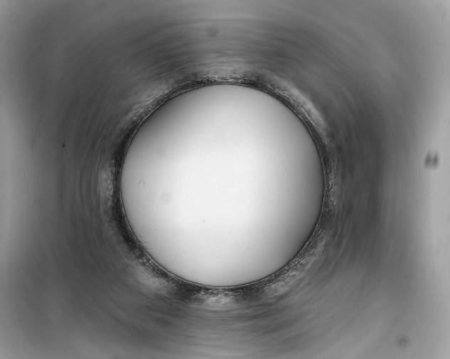 X0000099300113200805231350