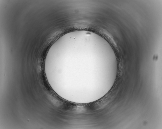 X0000099300114200805231350