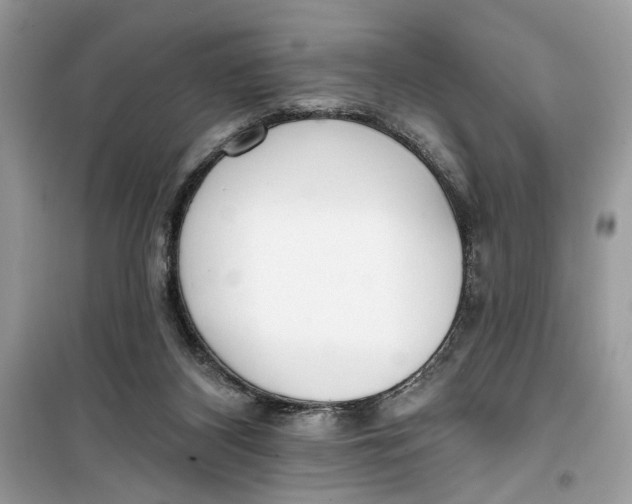 X0000099300116200805231350