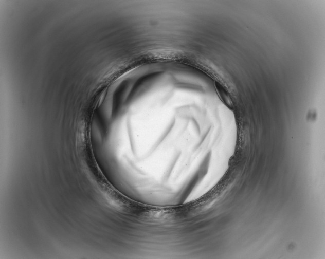 X0000099300117200805231350