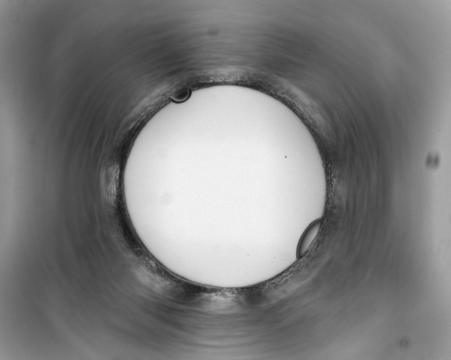 X0000099300118200805231350