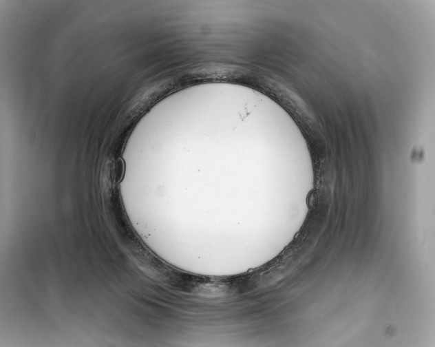 X0000099300119200805231350