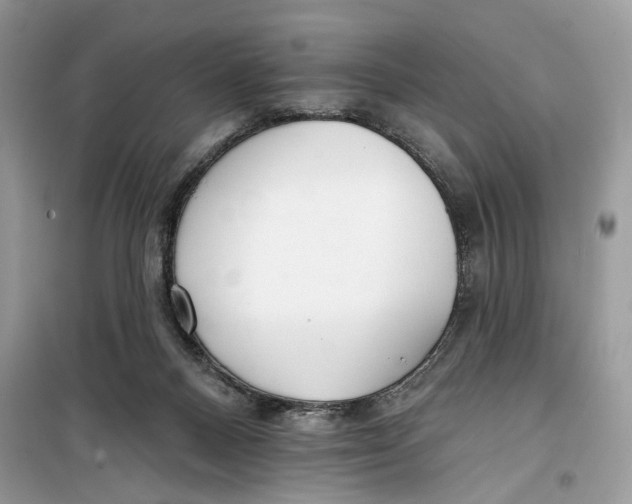 X0000099300120200805231350