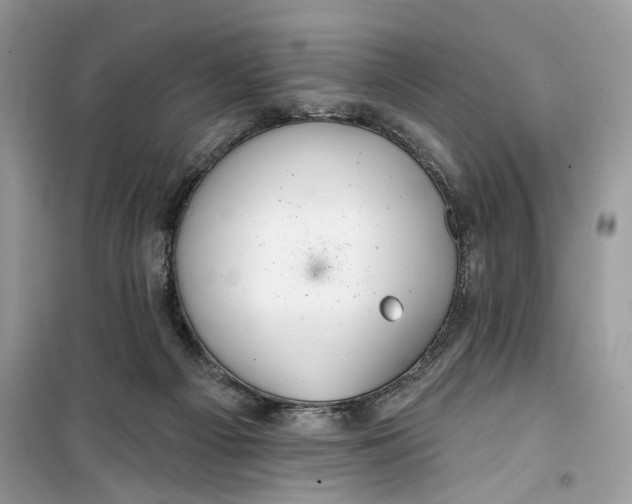 X0000099300121200805231350