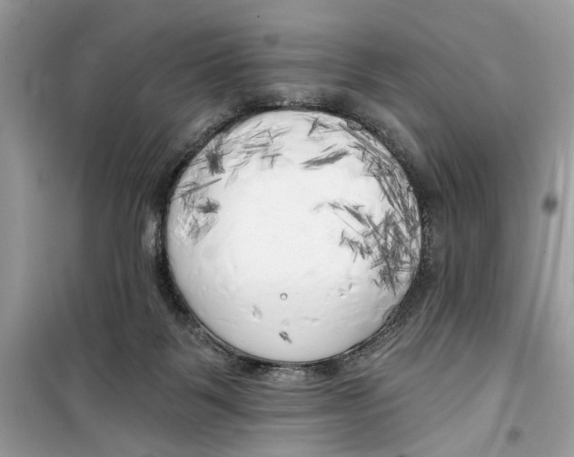 X0000099300123200805231350