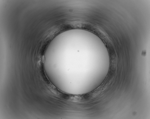 X0000099300125200805231350