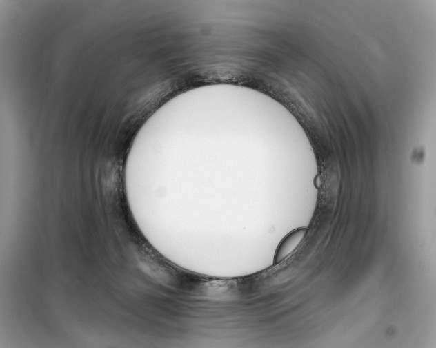 X0000099300126200805231350