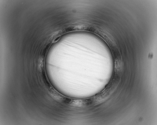 X0000099300127200805231350