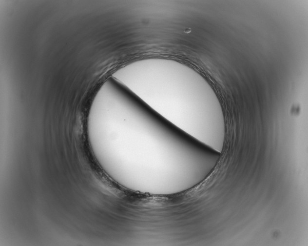 X0000099300128200805231350