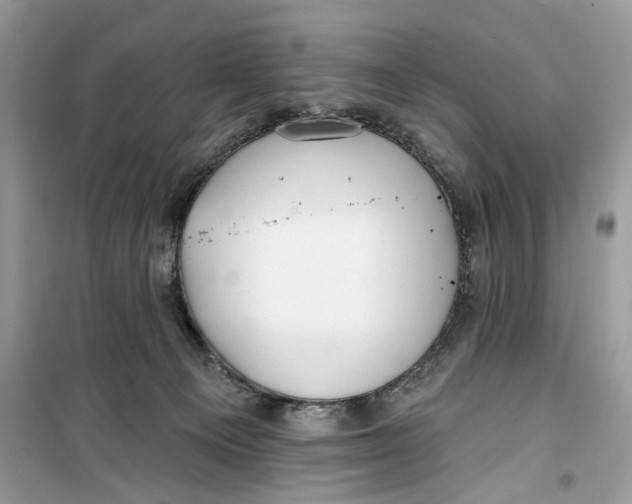 X0000099300129200805231350