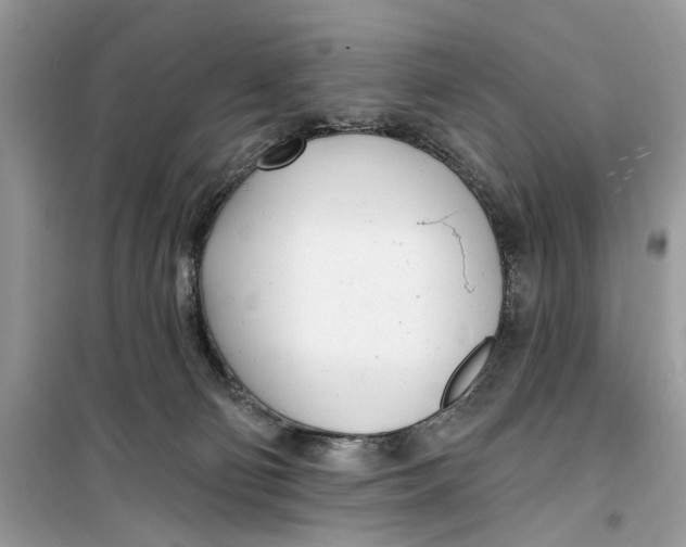 X0000099300130200805231350