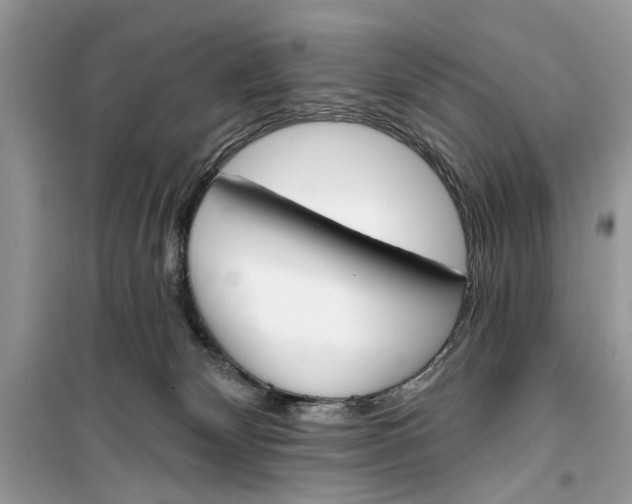 X0000099300132200805231350