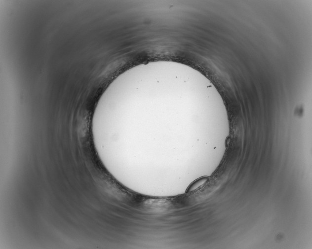 X0000099300133200805231350