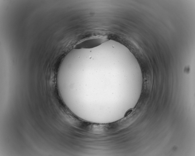 X0000099300134200805231350