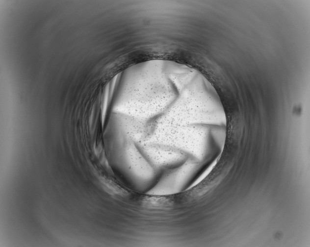 X0000099300137200805231350