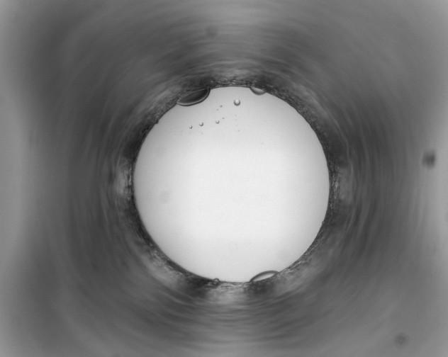 X0000099300138200805231350