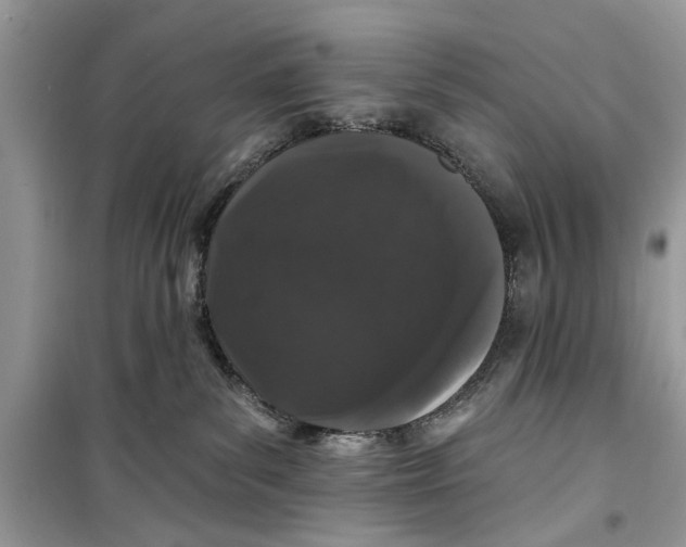 X0000099300139200805231350