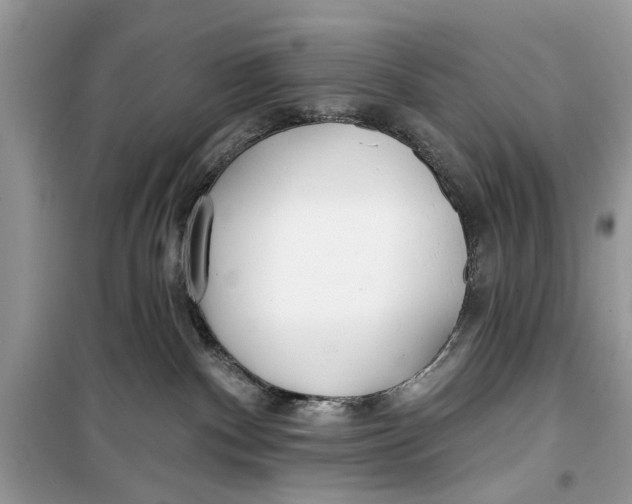 X0000099300140200805231350