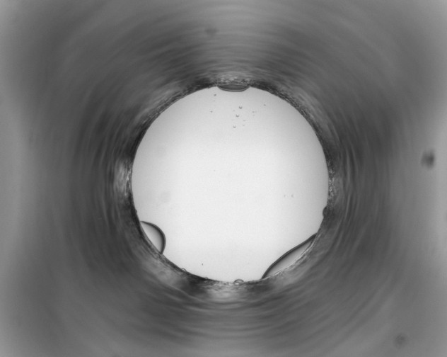 X0000099300142200805231350