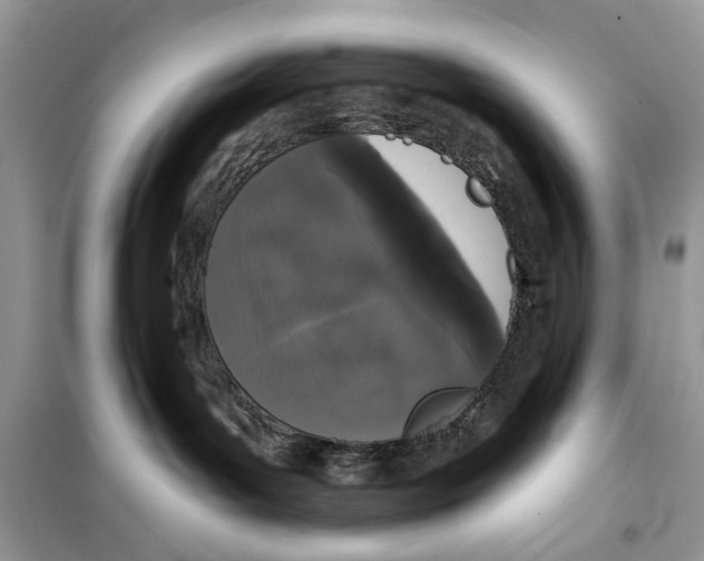 X0000099300143200805231350