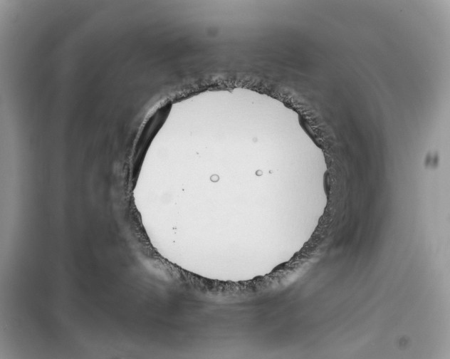 X0000099300144200805231350