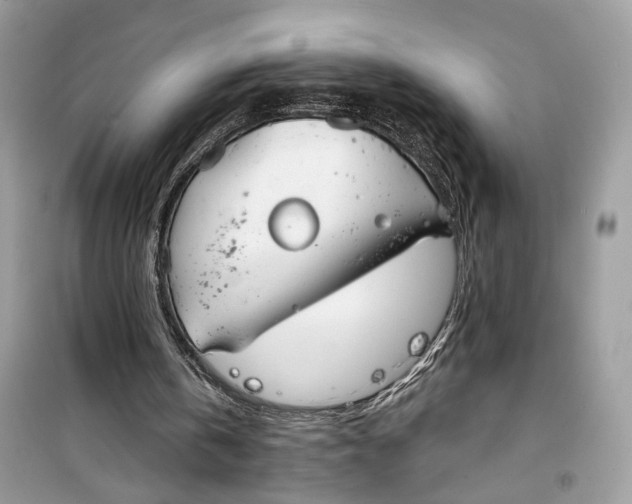 X0000099300146200805231349