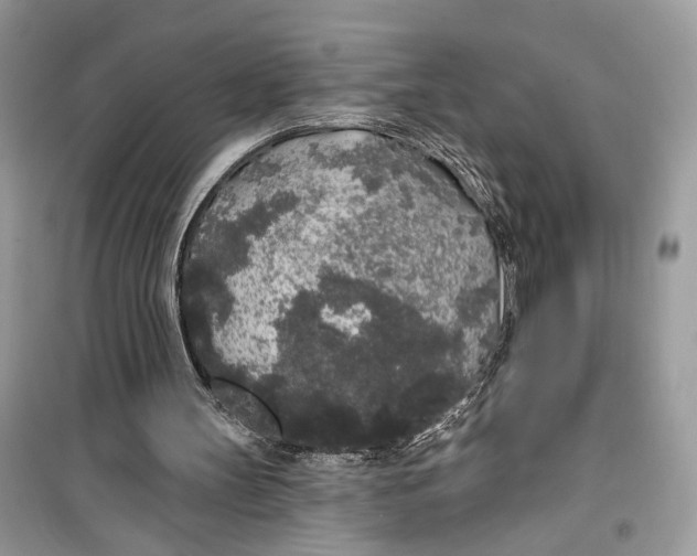 X0000099300147200805231349