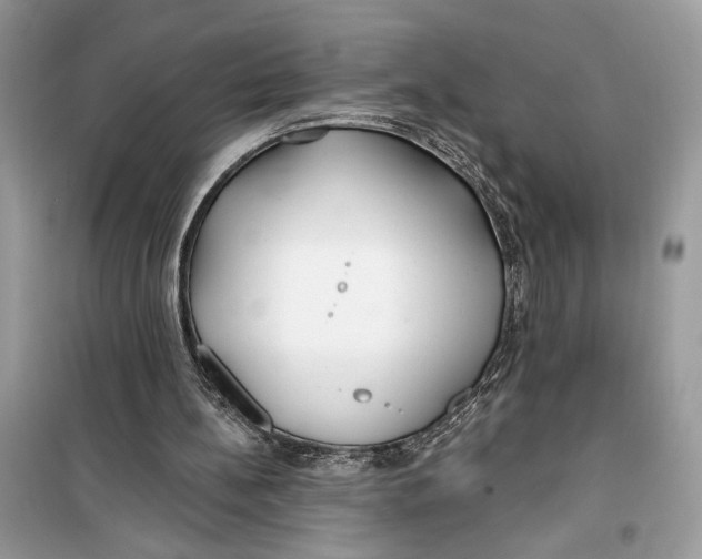 X0000099300148200805231349