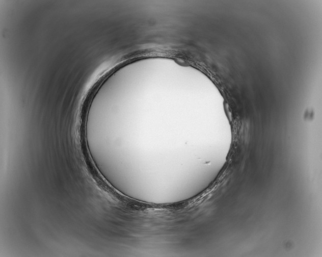 X0000099300150200805231349