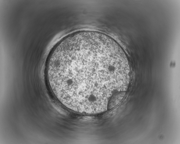 X0000099300151200805231349