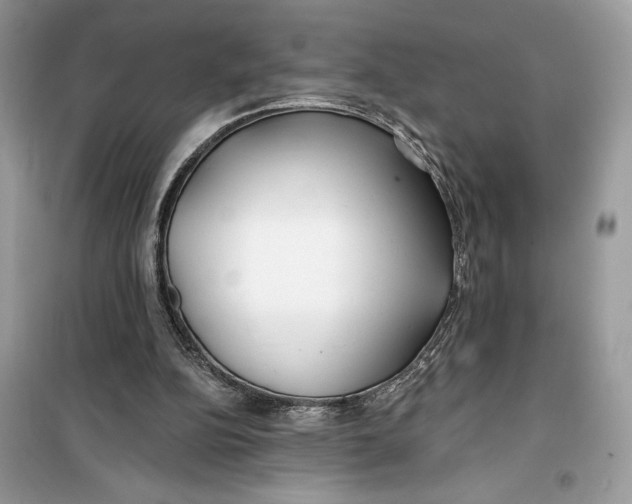 X0000099300152200805231349