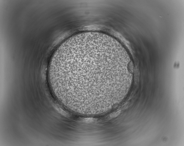 X0000099300153200805231349