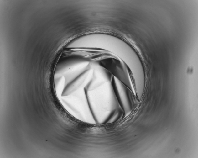 X0000099300154200805231349