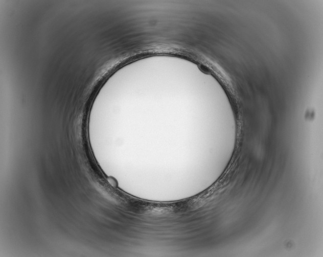 X0000099300155200805231349