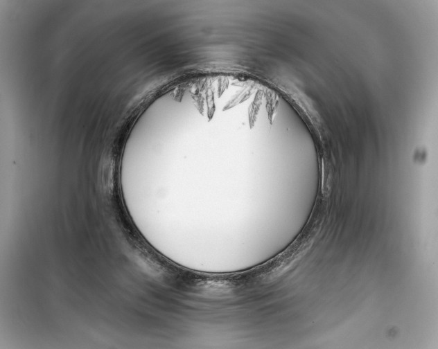 X0000099300157200805231349