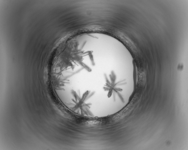 X0000099300158200805231349