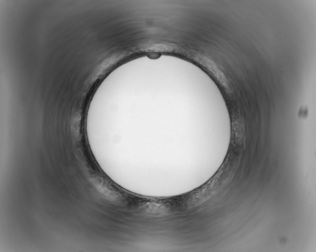 X0000099300159200805231349