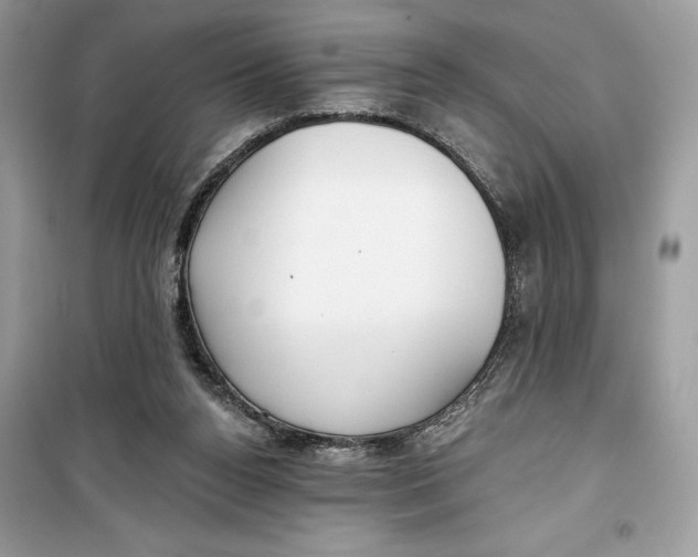 X0000099300160200805231349