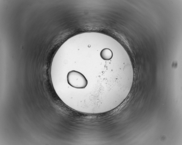 X0000099300162200805231349